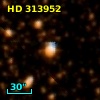 HD 313952