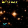 HD 313918