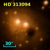 HD 313094