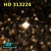 HD 313224
