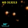 HD 313213