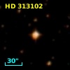 HD 313102