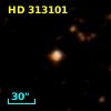 HD 313101