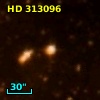 HD 313096