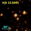HD 313091
