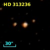 HD 313236