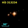 HD 313234