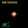 HD 313232