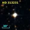 HD 313231