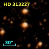 HD 313227