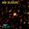 HD 313225