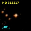 HD 313217