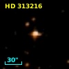 HD 313216