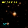 HD 313119