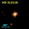 HD 313118