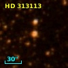 HD 313113
