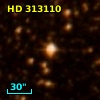 HD 313110