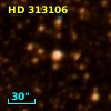 HD 313106