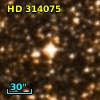 HD 314075