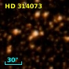 HD 314073