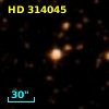HD 314045