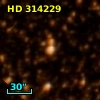 HD 314229