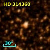HD 314360