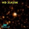 HD 314256