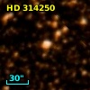 HD 314250