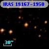 IRAS 18167-1950