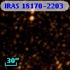IRAS 18170-2203