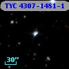 TYC 4307-1481-1