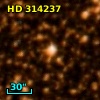 HD 314237