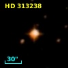HD 313238