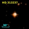 HD 313237