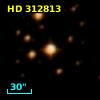 HD 312813