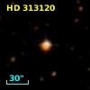 HD 313120