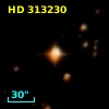 HD 313230