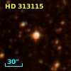 HD 313115