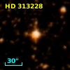HD 313228