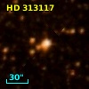 HD 313117