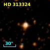 HD 313324