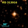 HD 313916