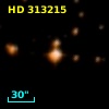 HD 313215