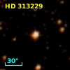 HD 313229