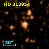 HD 313954