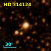 HD 314124