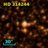 HD 314244