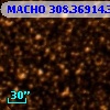 MACHO 308.36914.3615