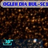 OGLEII DIA BUL-SC11   1320